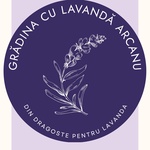 GradinacuLavanda