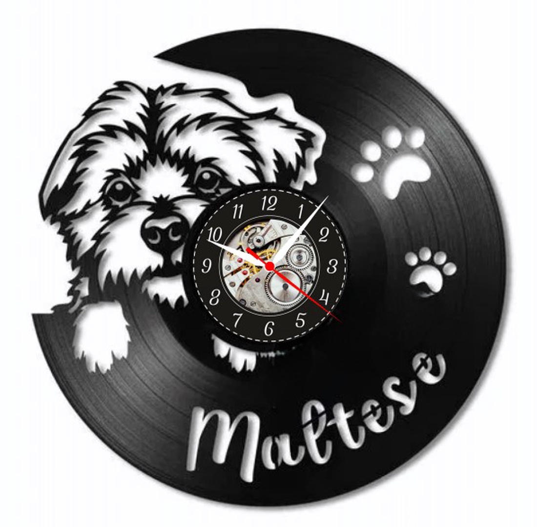 BICHON MALTESE- ceas de perete - casă & stil de viață - accesorii pentru decorat casa - decorațiuni de pereți, decorațiuni suspendate - ceasuri de perete - Artynos.ro