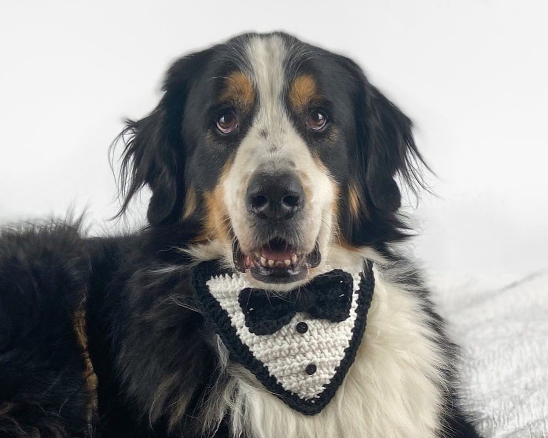 Bandana crosetata  Handsome Boy  - accesorii locuință - accesorii pentru animale  - paturi și echipamente câini - colier de câine, set de lesă - Artynos.ro