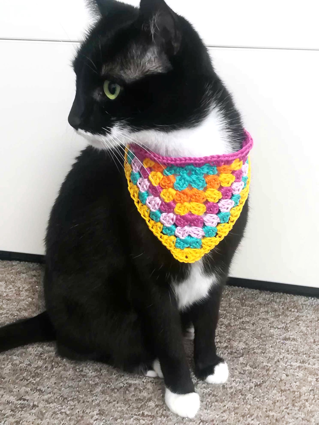 Bandana crosetata  - accesorii locuință - accesorii pentru animale  - paturi și echipamente câini - colier de câine, set de lesă - Artynos.ro