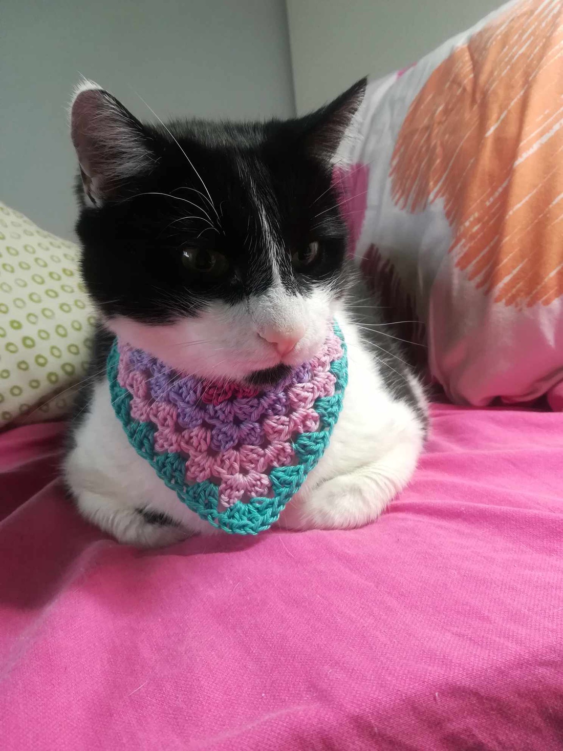 Bandana crosetata  - casă & stil de viață - accesorii pentru animale  - paturi și echipamente câini - colier de câine, set de lesă - Artynos.ro