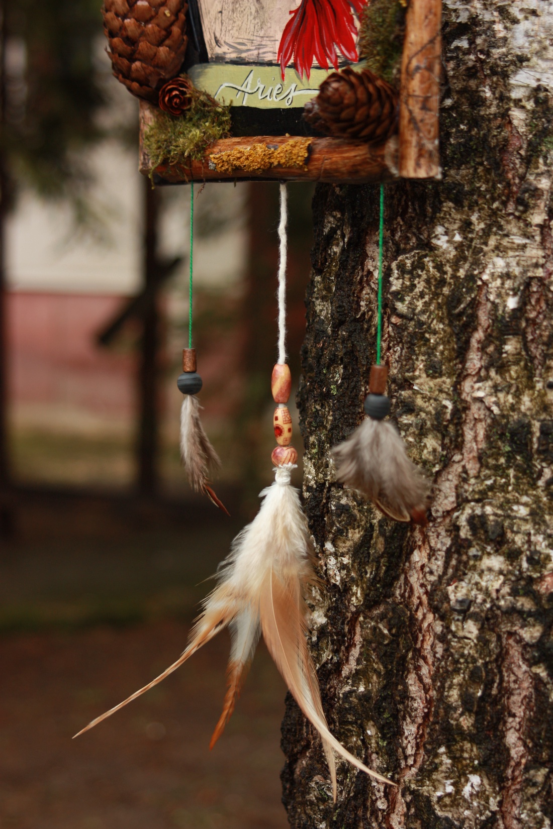 Tablou Natural Licheni Mușchi Zodia Berbec - casă & stil de viață - accesorii pentru decorat casa - decorațiuni de pereți, decorațiuni suspendate - decorațiuni perete, macramé - Artynos.ro