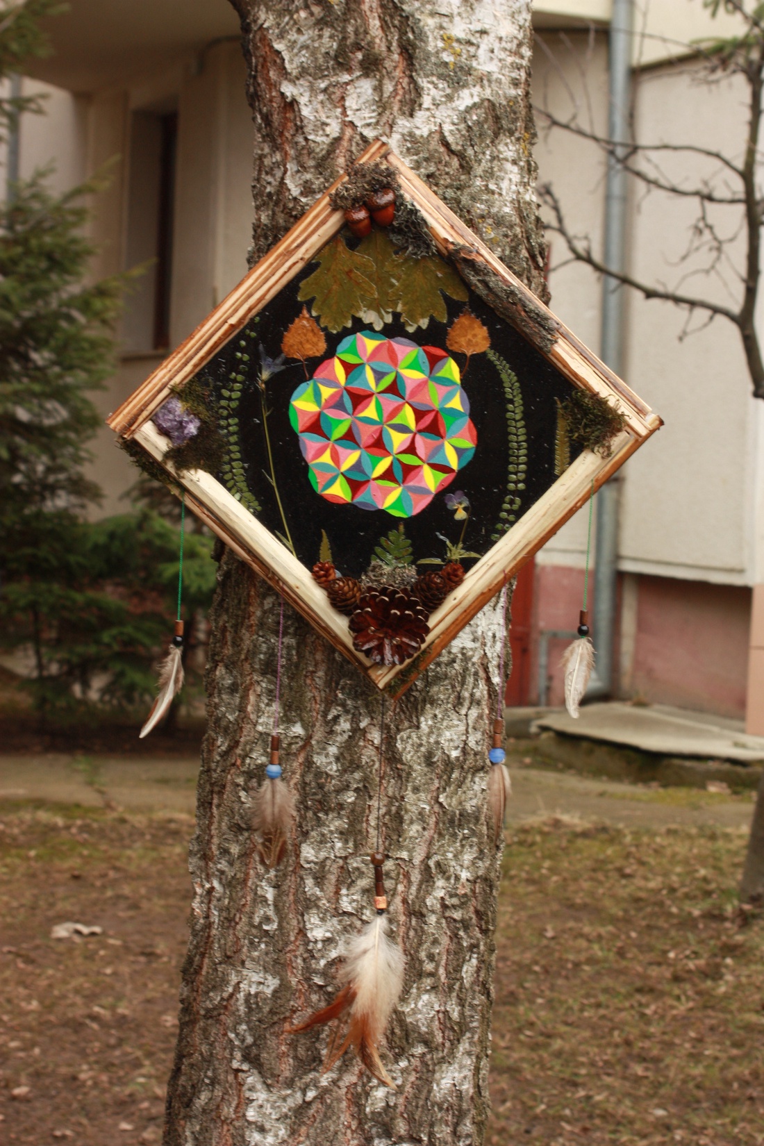 Tablou Natural Licheni Mușchi Mandala - casă & stil de viață - accesorii pentru decorat casa - decorațiuni de pereți, decorațiuni suspendate - decorațiuni perete, macramé - Artynos.ro