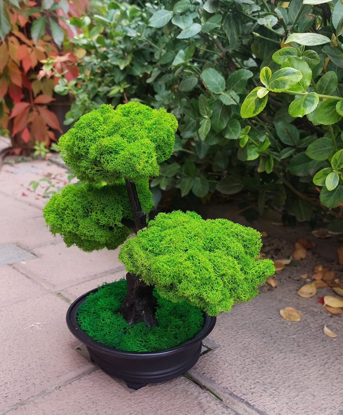 Bonsai cu licheni stabilizati, 25 cm - casă & stil de viață - accesorii pentru decorat casa - decorațiuni de masă și decorațiuni pentru rafturi  - bonsai, bonsai boluri, bonsai copac - Artynos.ro