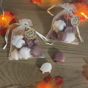 Wax melts Autumn 40g - casă & stil de viață - lumânări, parfumuri, arome - lumânare - lumânări artizanale - Artynos.ro