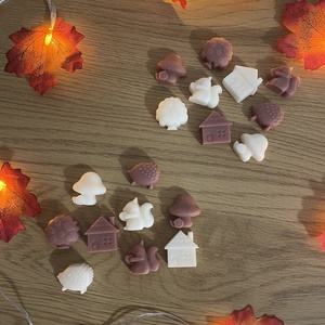 Wax melts Autumn 40g - casă & stil de viață - lumânări, parfumuri, arome - lumânare - lumânări artizanale - Artynos.ro