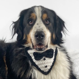 Bandana crosetata  Handsome Boy  - accesorii locuință - accesorii pentru animale  - paturi și echipamente câini - colier de câine, set de lesă - Artynos.ro