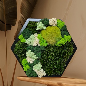 Tablou Hexagonal, cu licheni si muschi stabilizati, 32x27 cm - casă & stil de viață - accesorii pentru decorat casa - decorațiuni de pereți, decorațiuni suspendate - decorațiuni suspendate - Artynos.ro