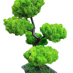 Bonsai cu licheni stabilizati, 41 cm, Casă & Stil de viață, Accesorii pentru decorat casa, Decorațiuni de masă și decorațiuni pentru rafturi , Bonsai, bonsai boluri, bonsai copac, Altele, ARTYNOS