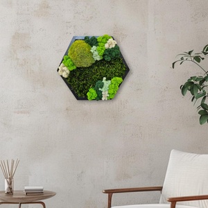 Tablou Hexagonal, cu licheni si muschi stabilizati, 32x27 cm - casă & stil de viață - accesorii pentru decorat casa - decorațiuni de pereți, decorațiuni suspendate - autocolante perete - Artynos.ro