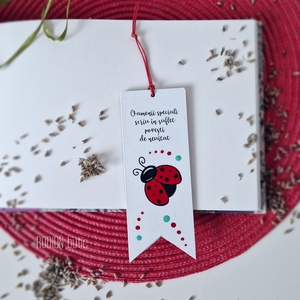 Semn de carte buburuza martisor pictat manual cu mesaj handmade - bijuterii - mărțișor - Artynos.ro